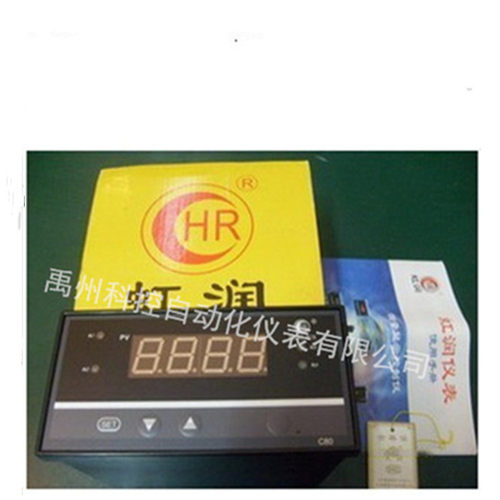 全新福建虹润液位控制仪