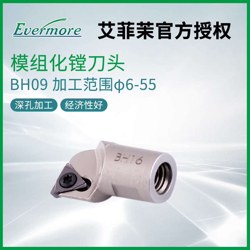 台湾Evermore艾菲茉模组化镗刀头BH09高经济型可更换式镗刀头