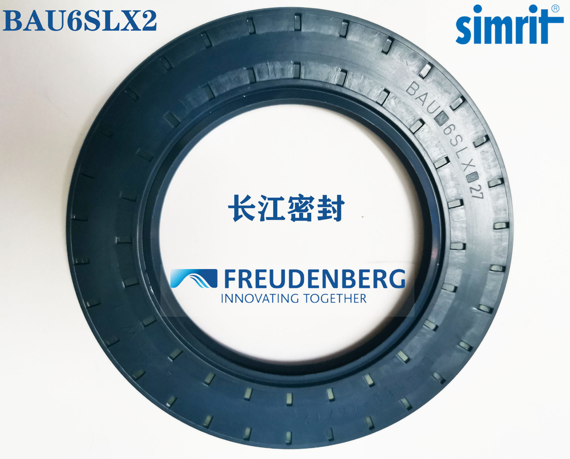 德国SIMRIT进口骨架油封