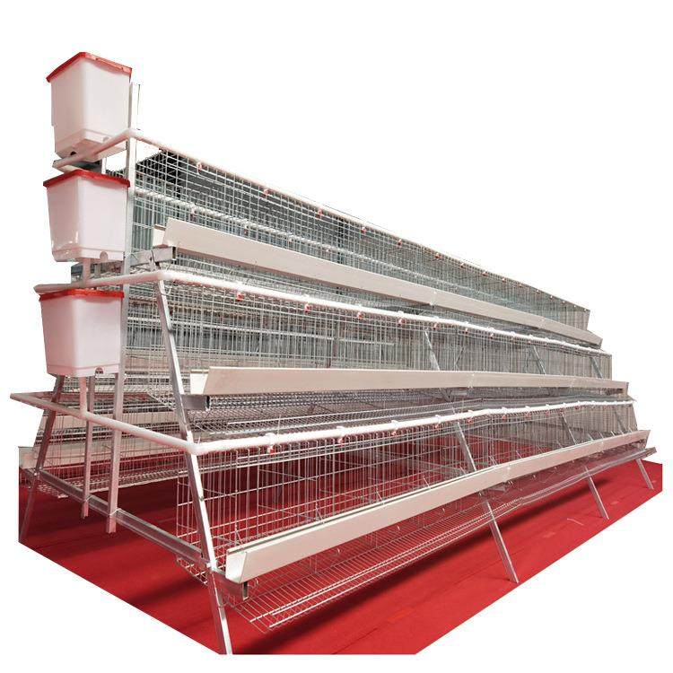 三层四层阶梯式蛋鸡笼笼具家用养殖场用自家工厂鸡舍鸡窝,畜牧/养殖物资,畜牧/养殖器械,淘宝优惠券,粉丝福利购,淘宝优惠卷