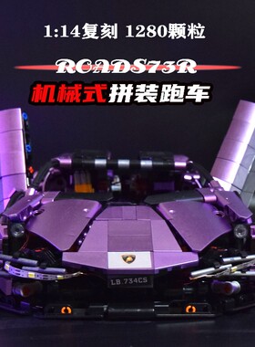 兰博基尼积木跑车拼装玩具电镀紫色机械联动遥控赛车礼物适用乐高