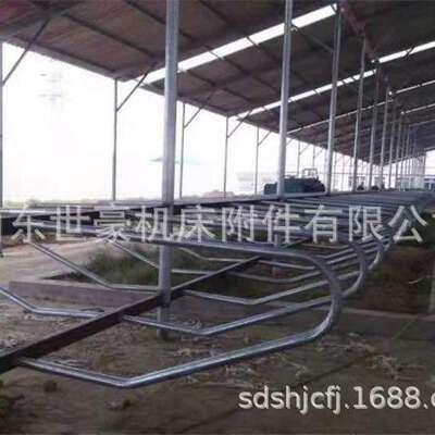 牛卧床牛定位栏养牛设备双体卧床自动喂食牛栏60热镀锌管牛