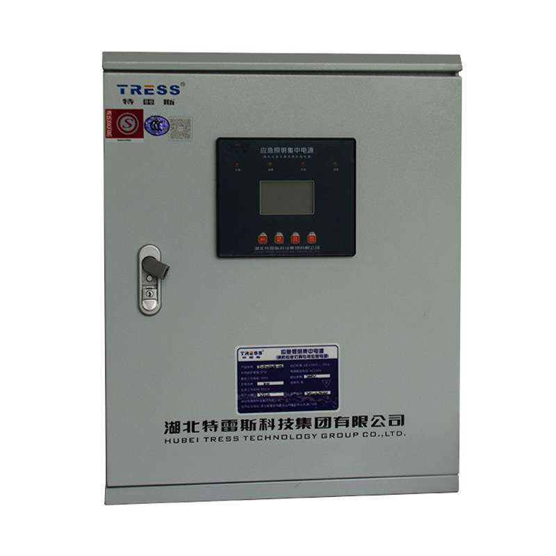 A型应急照明集中电源TL-D-0.3KVA-04疏散系统配电箱壁挂式24v36v