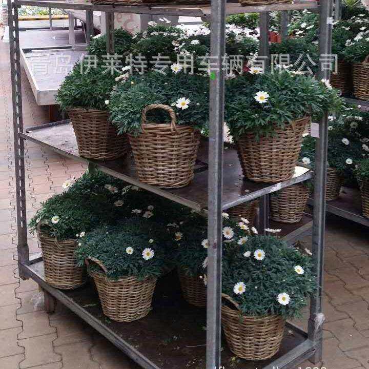 厂家直销荷兰台车，设施农业花卉台车，温室车，花卉基地周转车