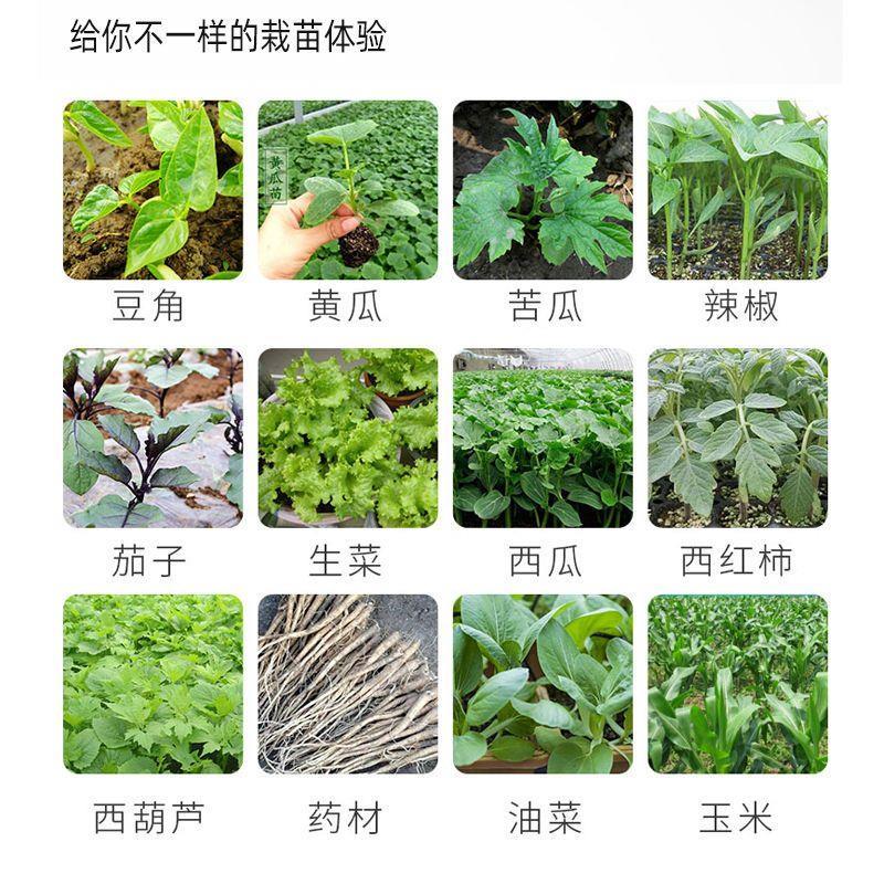 栽苗器移苗器农用工具多用种辣椒苗神器移植器蔬菜手动种菜移栽器