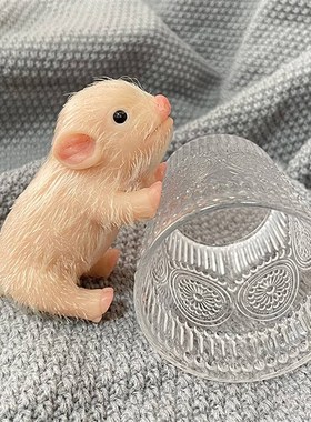 5 Inch Soft Silicone Pig Doll HighQuality Silicone Reborn