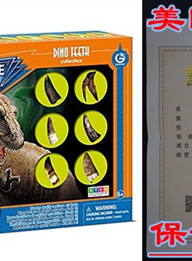 Geoworld Dino Teeth Collection - 6  Perfect Replica  Dinosau