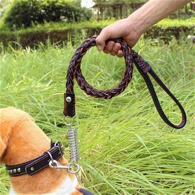 Pet Dog Leash leather Collar long Traction Rope Cats Puppy