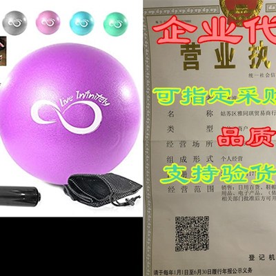 Live Infinitely 9 Inch Barre Pilates Ball & Hand Pump