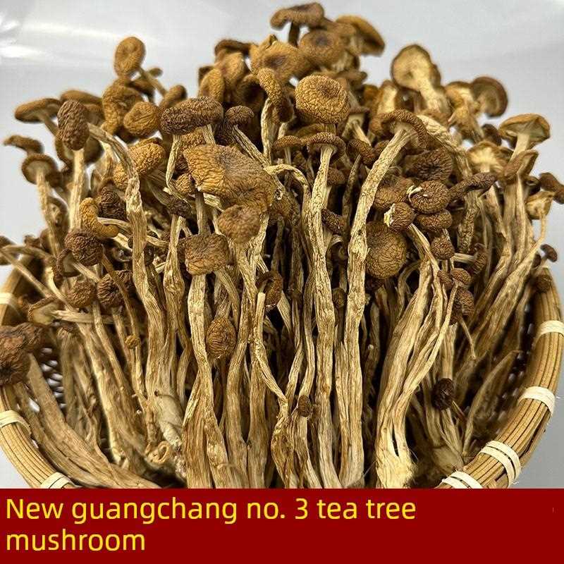新疆包邮江西特产广昌剪根茶树菇香菇类