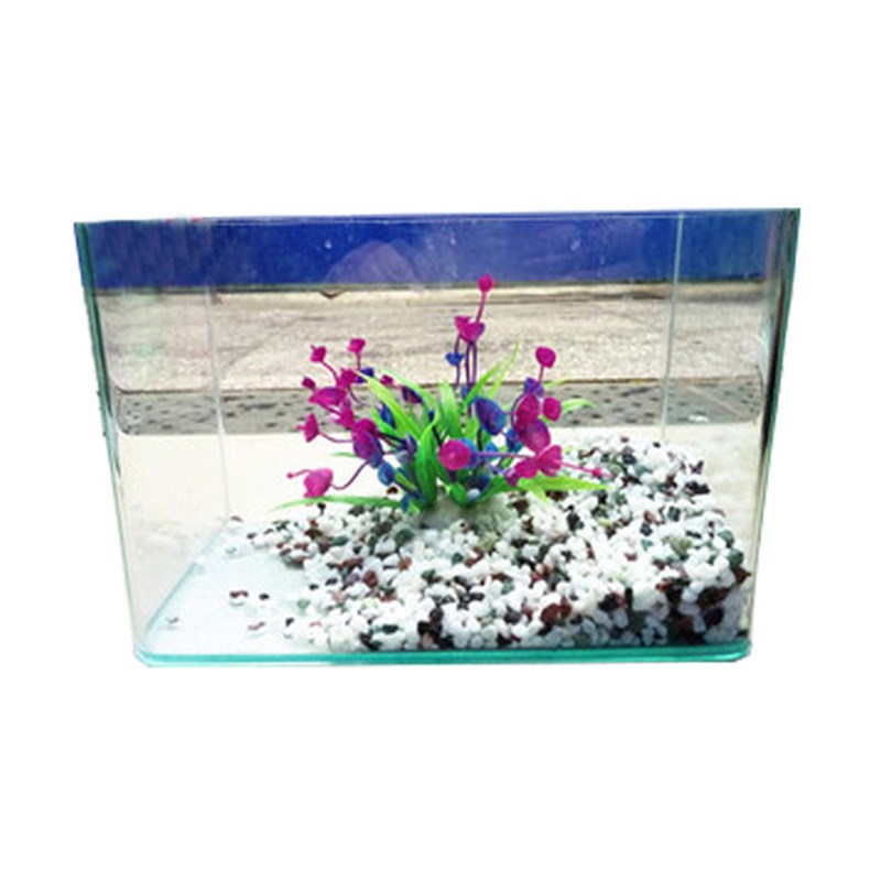 玻璃方形小鱼缸水族箱迷你生态草缸龟缸小热带鱼金鱼热弯缸造景