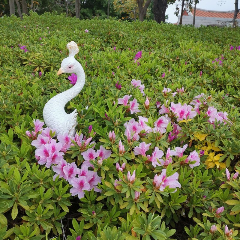 户外庭院花园造景风创意孔雀插支花盆插件装饰品盆栽摆件阳台园林