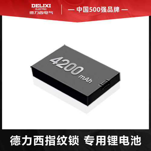 4200毫安循环充电锂电池德力西