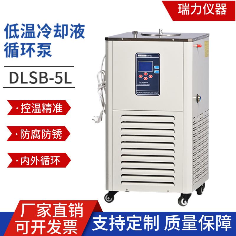 瑞力低温冷却液循环泵DLSB-5/10℃实验室小型智能控温冷井制冷泵