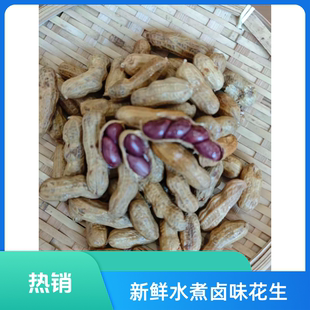 章榕蒸汽水煮卤汁带壳鲜花生开袋即食好吃不上火下酒菜追剧小零食