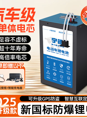 宁德电动车锂电池48v60v磷酸铁锂单体外卖专用大容量72v三元电瓶