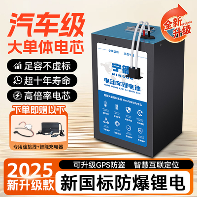 宁德电动车锂电池48v60v磷酸铁锂单体外卖专用大容量72v三元电瓶