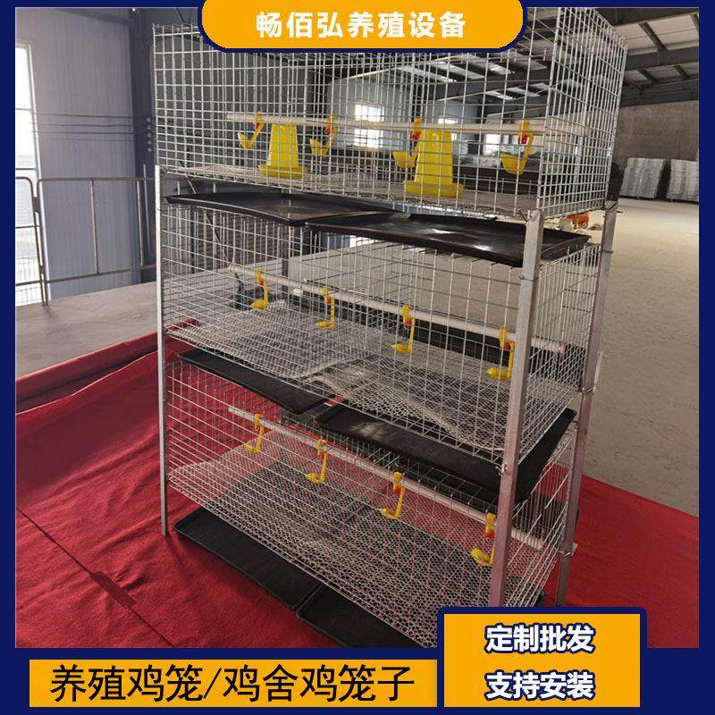 立式肉鸡笼H型框架笼鸡窝养鸡场用镀锌工艺层叠式可供外贸