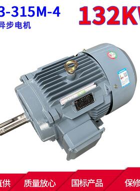 YE3系列三相异步电动机YE3-315M-4132W4极三相异步电机马达