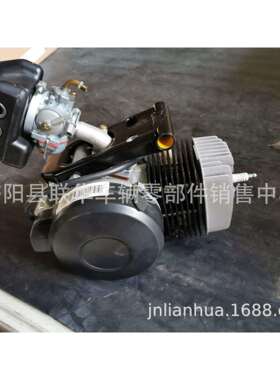 助力车 PGT103 50助力车发动机总成 汽油机器