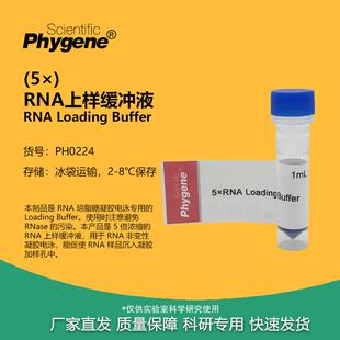 RNA上样缓冲液 加样缓冲液 RNA Loading Buffer (5×) PHYGENE