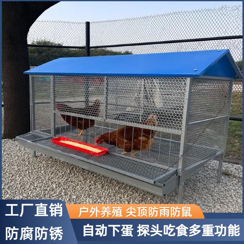 尖顶鸡笼家用大号铁丝网防黄鼠狼老鼠室外兔鸽子养殖笼自动收蛋笼