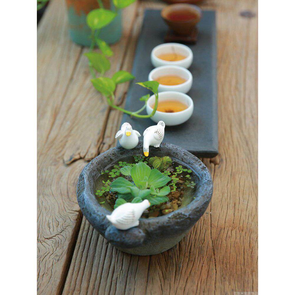 花盆创意摆件阳台桌面水培容器水文化石盆花园庭院装饰中国风之家