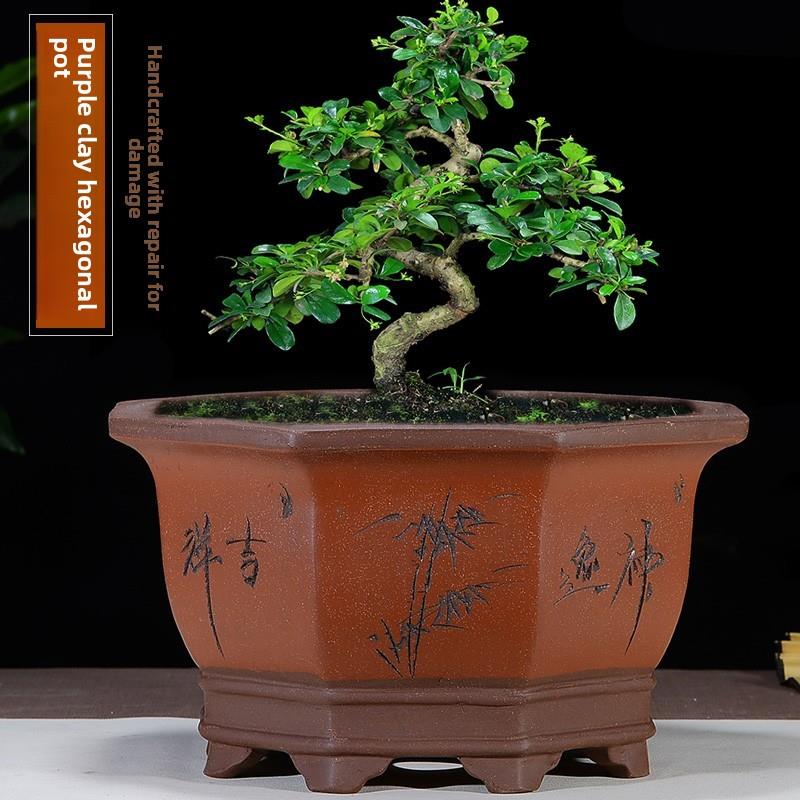 宜兴紫砂盆景八角形花盆清理客厅椭圆形方形长方形树桩特大型园林