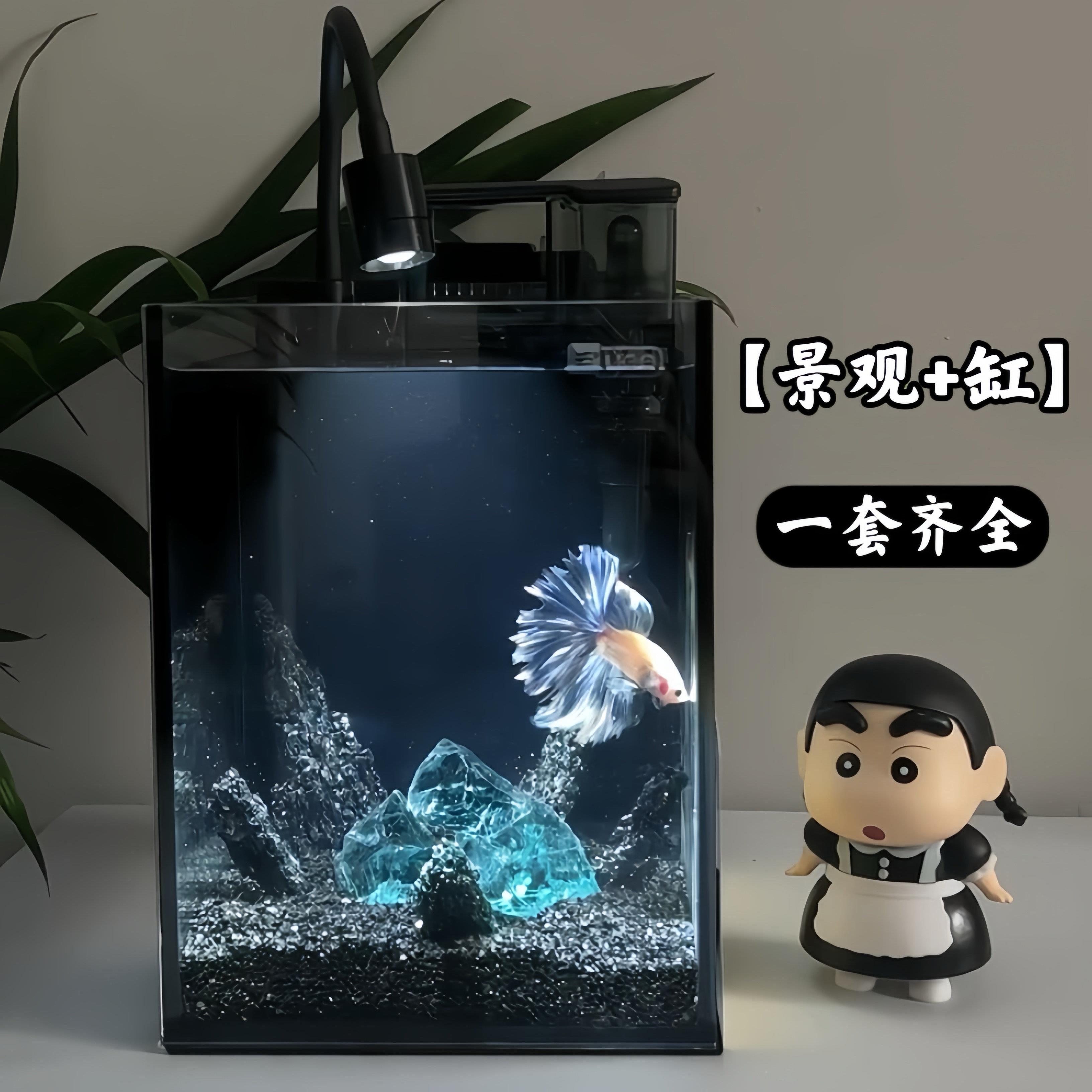 暗黑斗鱼专用鱼缸缸玻璃缸过滤水晶桌面孔雀鱼造景小型创意图片