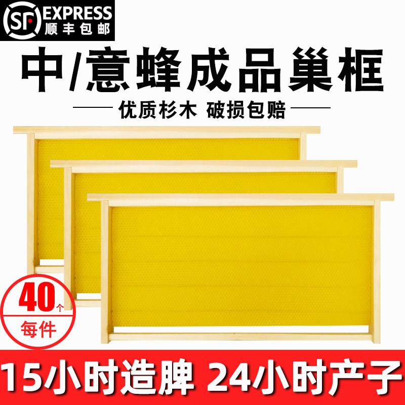 成品巢框中意蜂带巢础框巢基巢脾框蜜蜂巢杉木蜂箱养蜂专用40个装