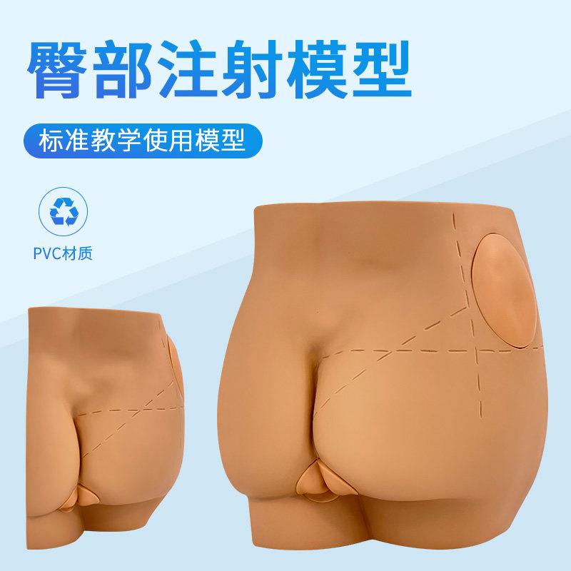 臀部肌肉注射训练模型 皮肤护理穿刺扎针培训练习模型注射皮肤