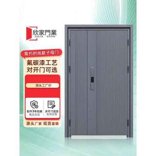 防盗门入口门家庭入口双门农村自建门室内外指纹锁钢质