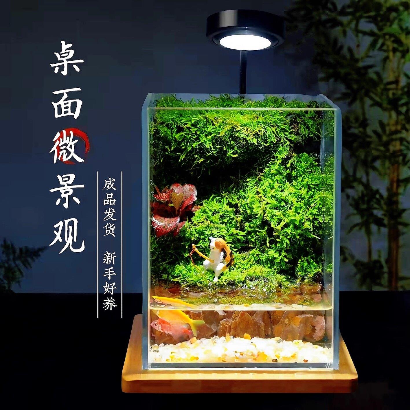 苔藓微景观生态缸造景植物玻璃瓶桌面摆件森林全套雨林生态养鱼缸图片