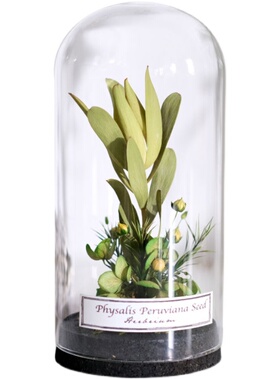 野地花园植物标本玻璃罩干花永生花家居书房陈列摆件饰品北欧礼物