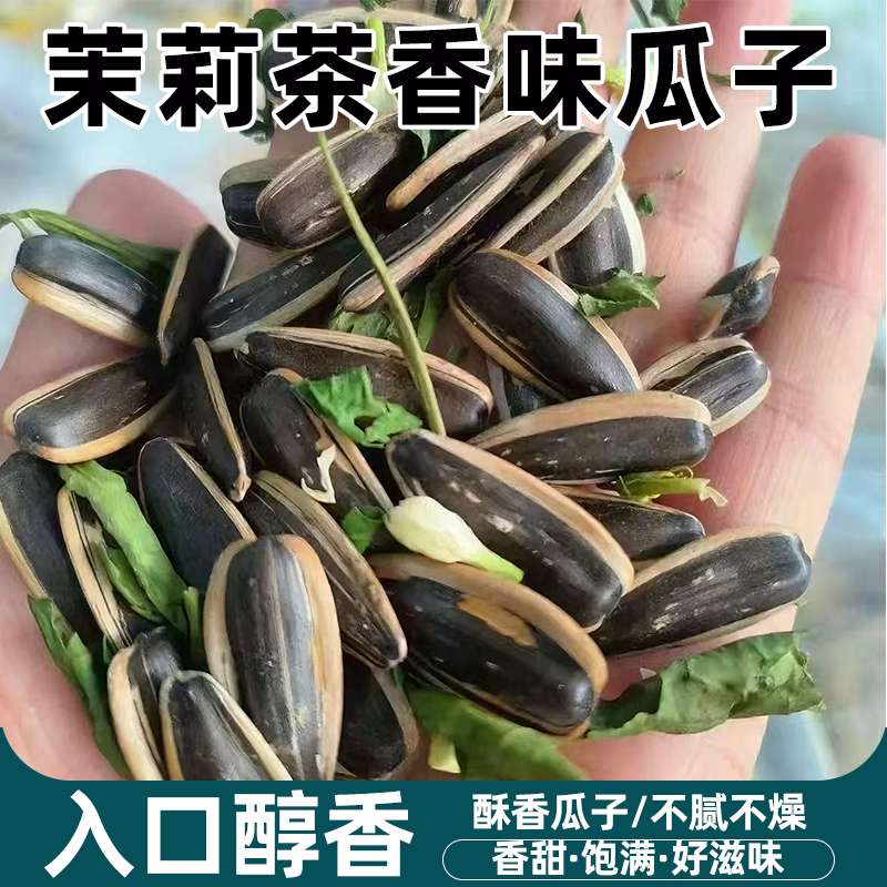 25年新货竹韵茉莉茶香瓜子花韵绵长轻裹茶香正宗脆而不硬超好嗑