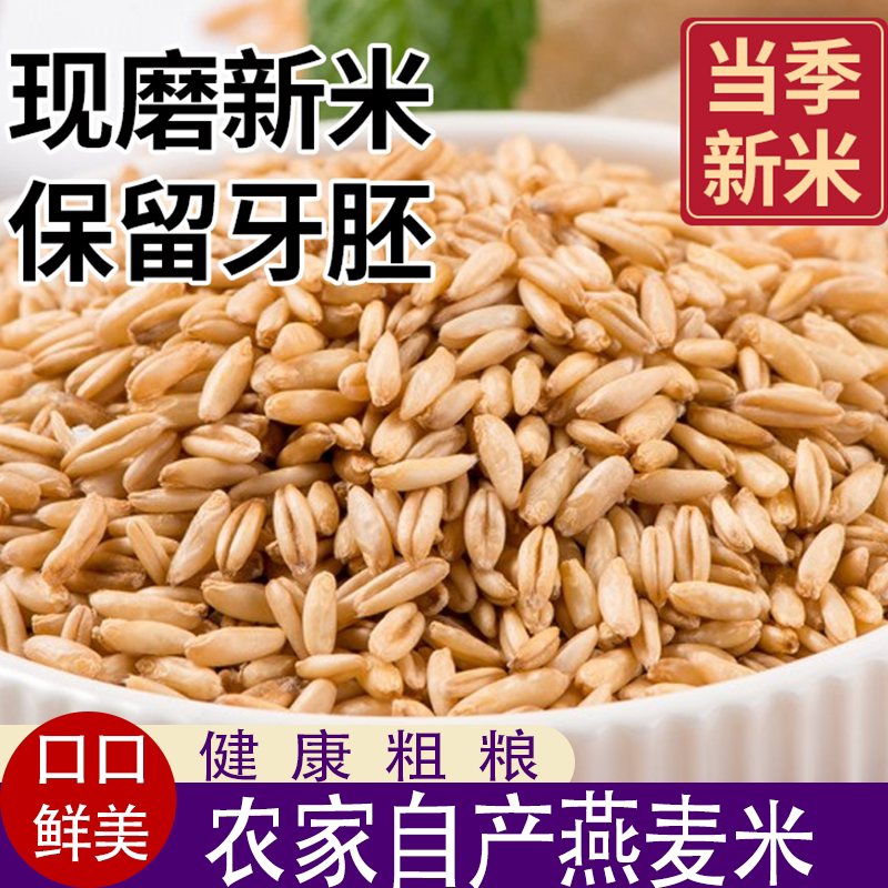 新鲜燕麦米燕麦仁可粥可饭颗粒饱满口感劲道麦香浓郁软糯有嚼劲