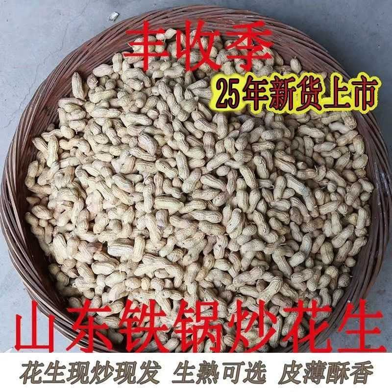 当季现炒大 小珍珠 生带壳花生晒干原味新鲜农家优质红皮散装