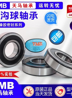 天马高速a电机轴承6200 6201 6202 6203 6204 6205 6206 6308ZZ