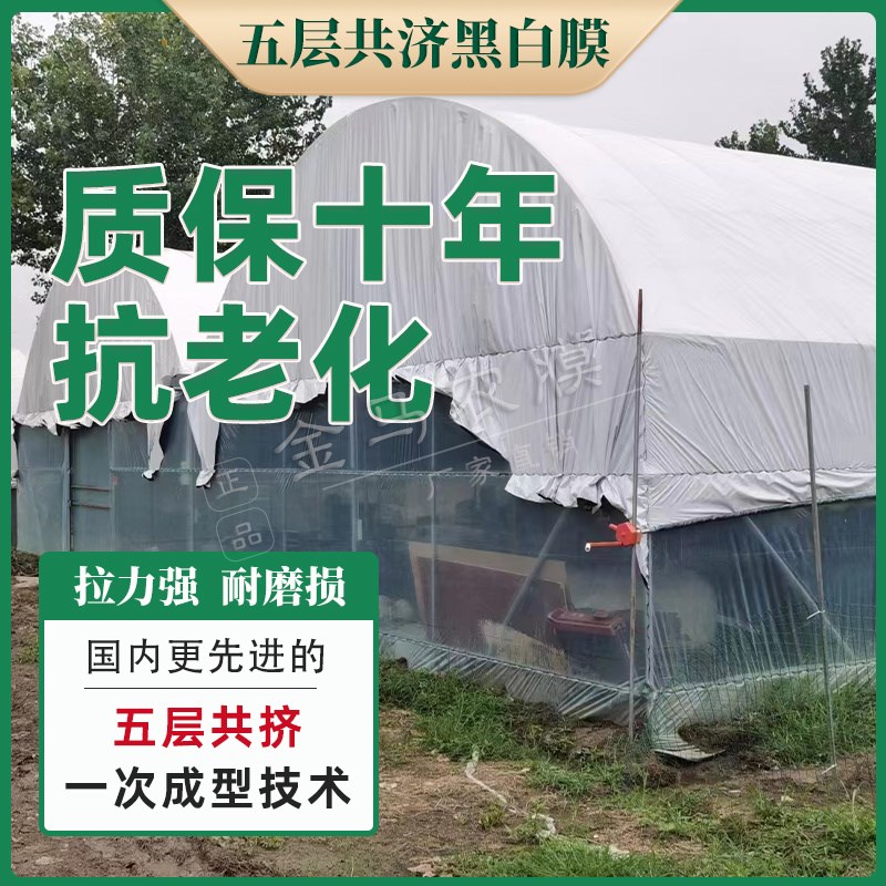 热销五层共济黑白膜养殖大棚黑白膜反光隔热膜防晒塑料布食用菌绿