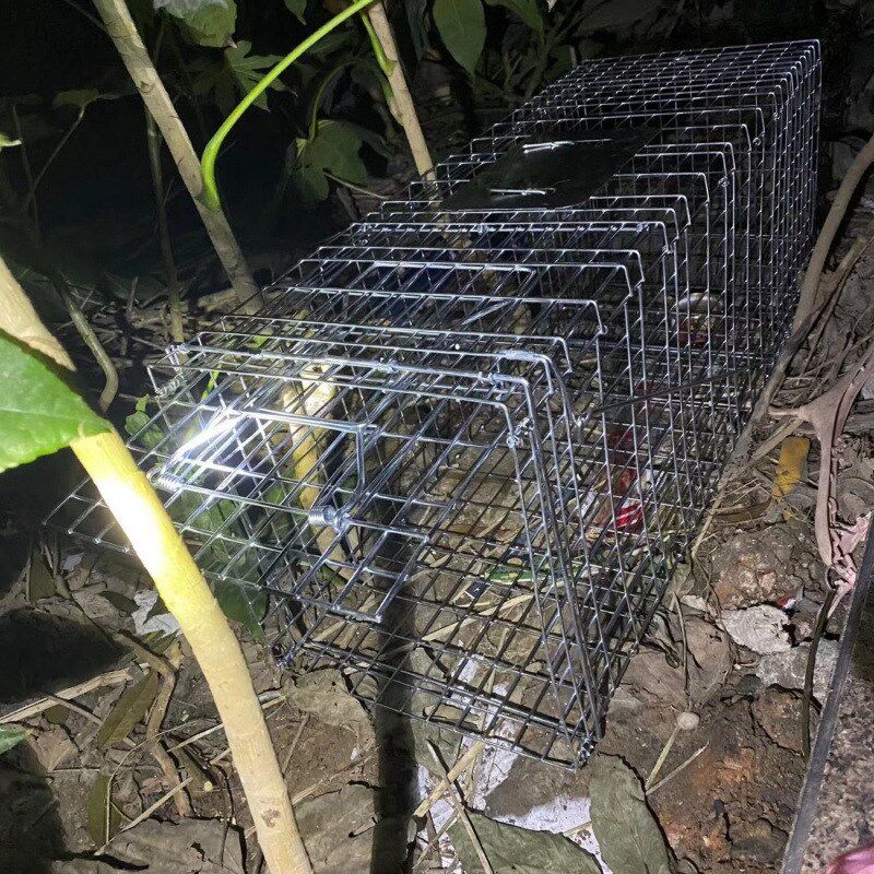 热销大号救助全自动捕猫笼捉猫笼流浪猫救助笼寻猫神器抓猫笼流浪