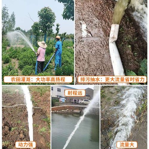 DSU电动抽水机农用灌溉大流量自吸泵220v大功率380v高扬程3寸水泵