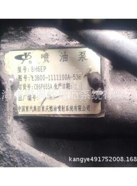 玉柴原装喷油泵总成BH6EP L3B00-1111100A-538 订货号CB6P655A