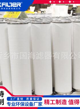 聚结滤芯PLF40H 1202846 分离滤芯1203126 PSE80H1航煤过滤器滤芯
