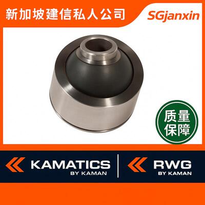 德国进口RWG轴承EN4613 R 03 04 05 06 07 08 09 10 N T A轴承