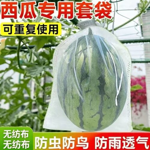西瓜专用无纺布套袋防虫防鸟防雨