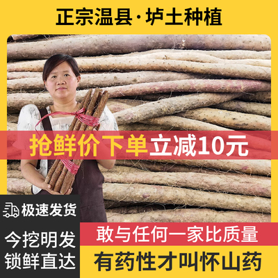 正宗垆土铁棍山药新鲜五斤