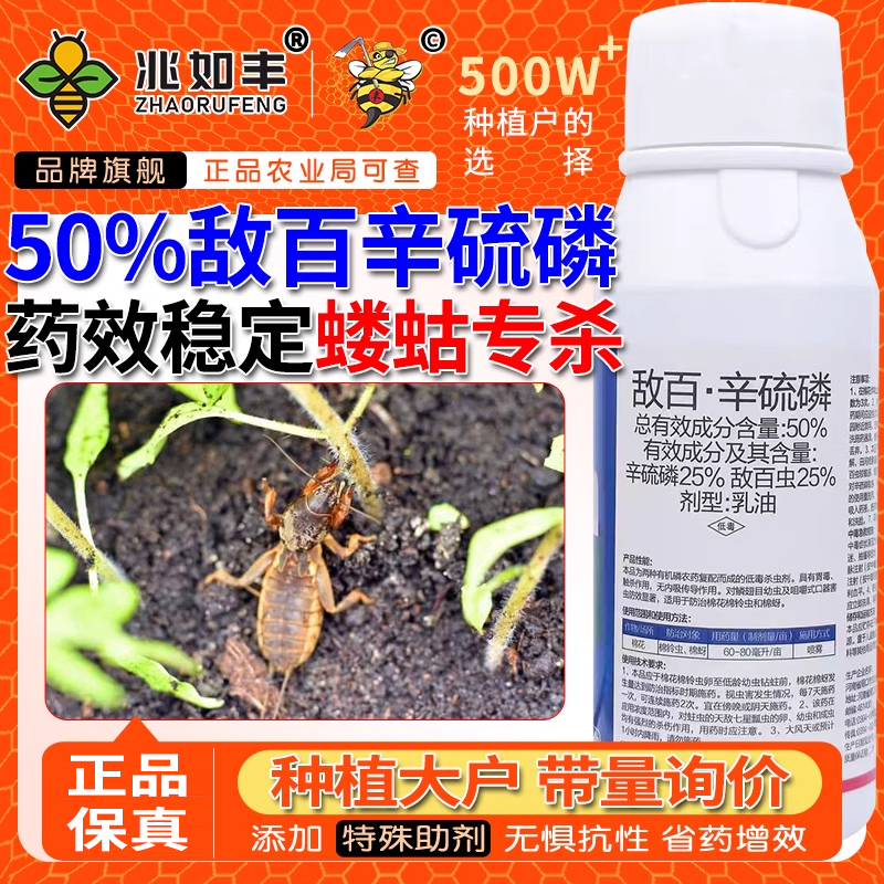 50%敌百辛硫磷高含量杀虫剂