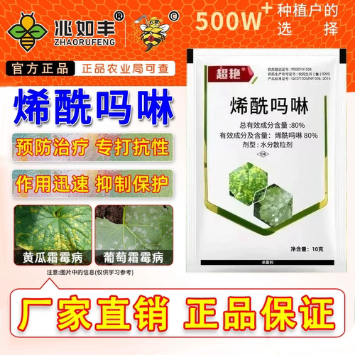烯酰吗啉黄瓜霜霉病农药杀菌剂