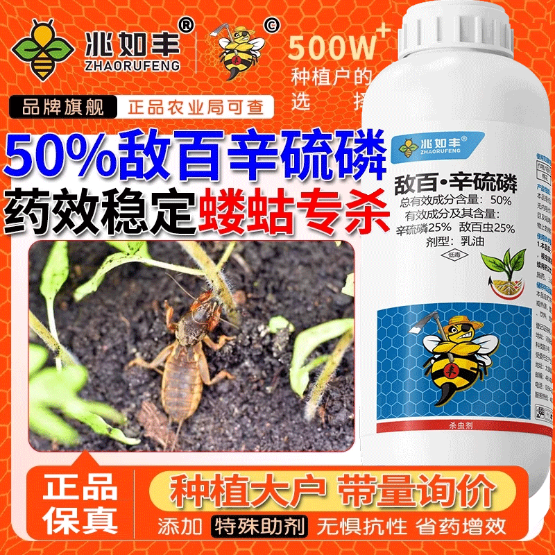 50%敌百辛硫磷高含量杀虫剂