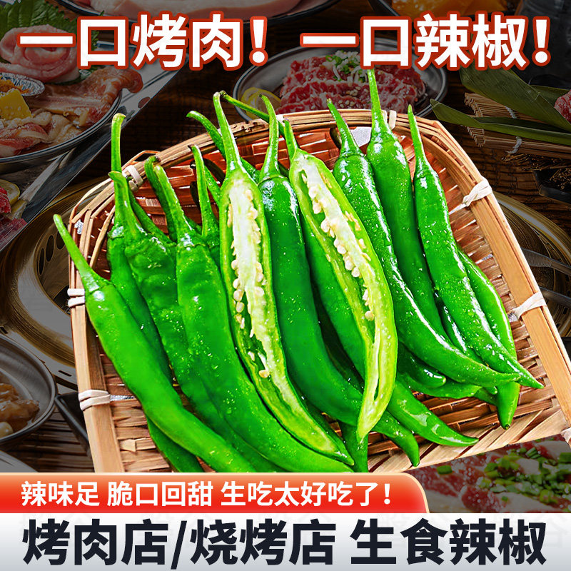 现摘青阳辣椒新鲜辣椒烤肉店鲜食辣椒烤肉蘸酱当季青辣椒直发